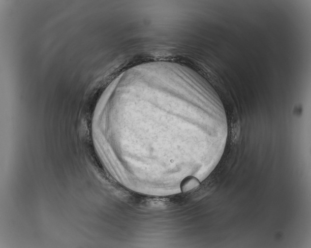 X0000114400618200911131407