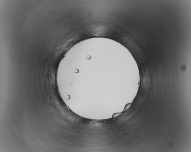 X0000114400620200911131407