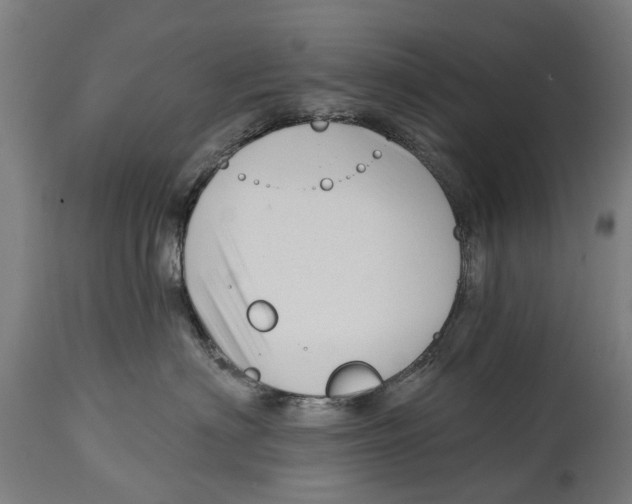 X0000114400622200911131407