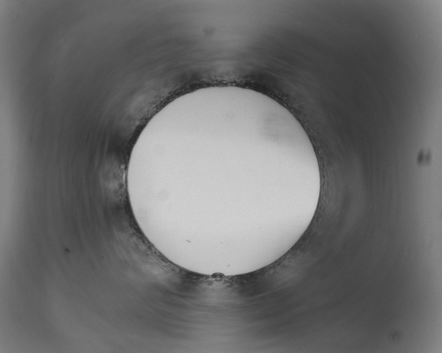 X0000114400624200911131407