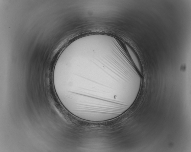 X0000114400626200911131406