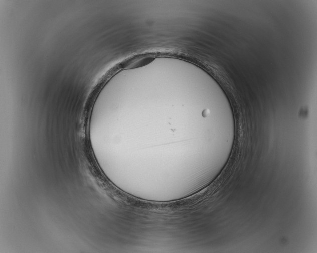 X0000114400628200911131406