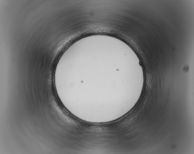 X0000114400629200911131407