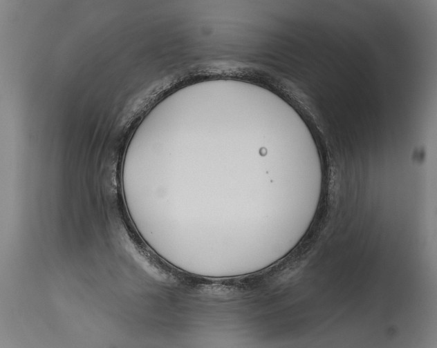 X0000114400633200911131407