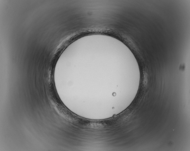 X0000114400636200911131407