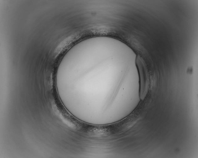 X0000114400638200911131407