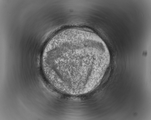 X0000114400640200911131407