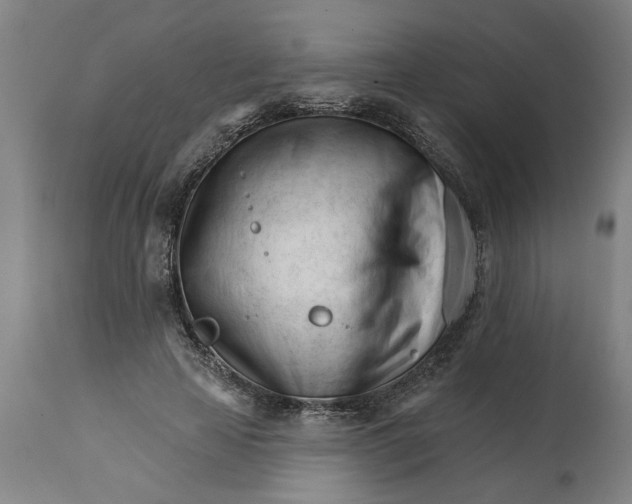 X0000114400641200911131407