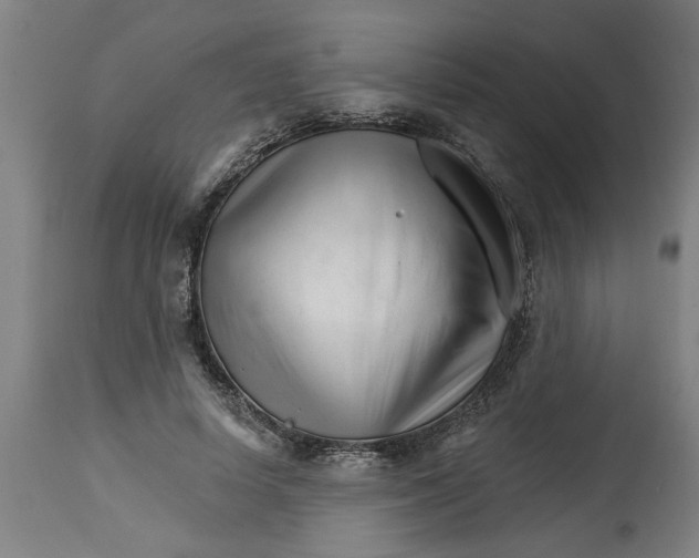 X0000114400642200911131407