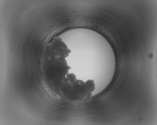 X0000114400644200911131407