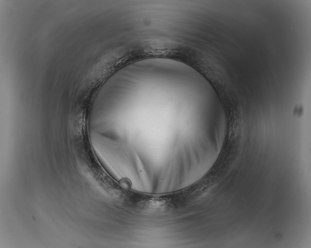 X0000114400647200911131407