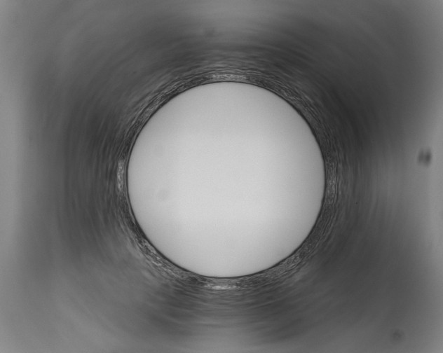 X0000114400649200911131407