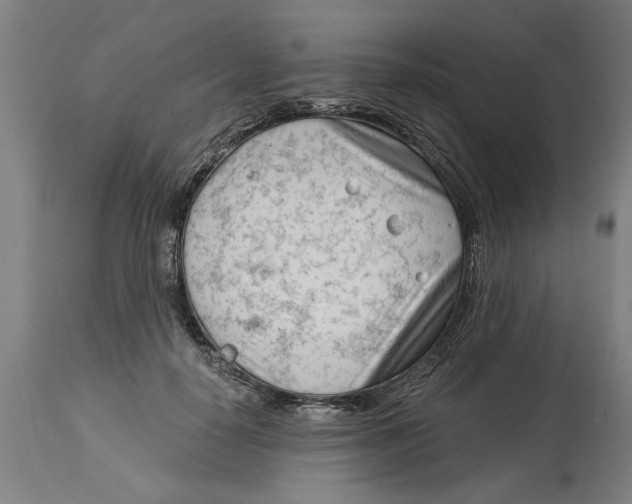 X0000114400650200911131407