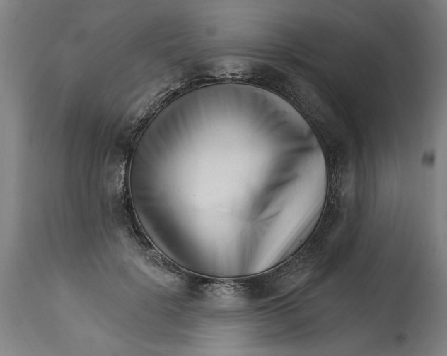 X0000114400652200911131407