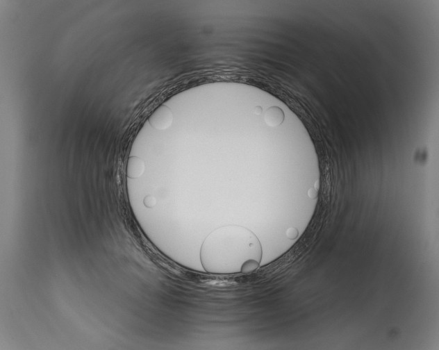 X0000114400654200911131407