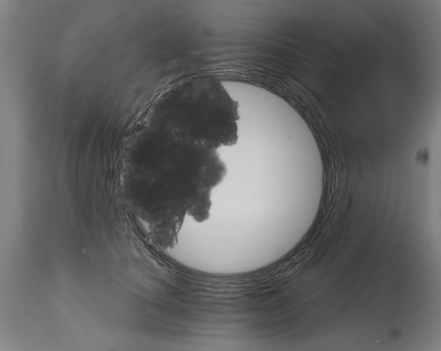 X0000114400660200911131407