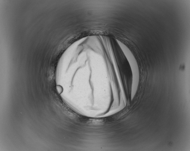 X0000114400665200911131407