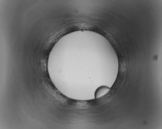 X0000114400666200911131407