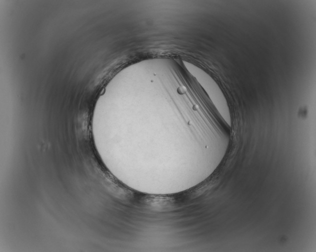 X0000114400670200911131407