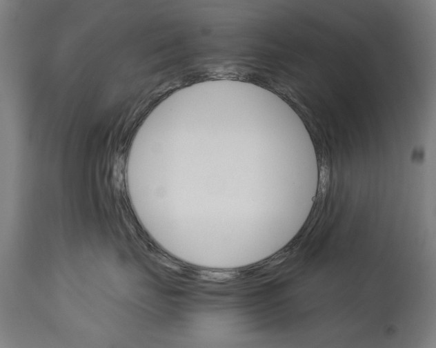 X0000114400671200911131407