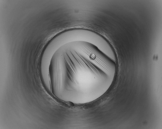 X0000114400673200911131406