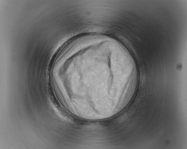 X0000114400674200911131406