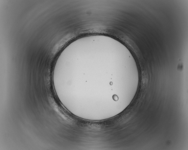 X0000114400677200911131406