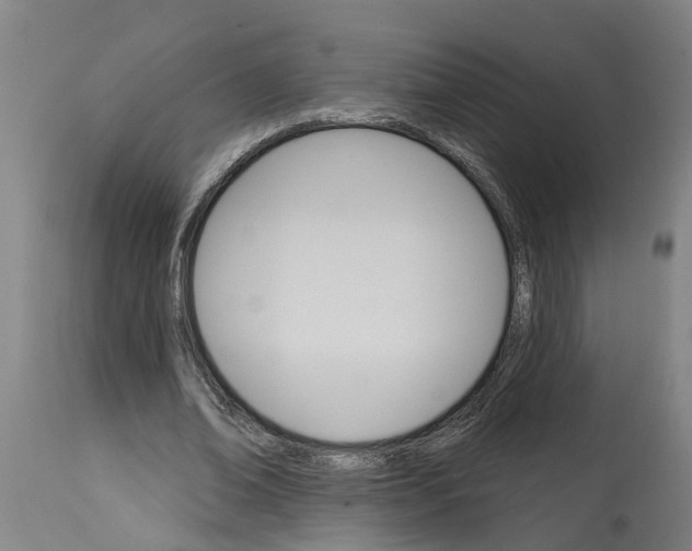 X0000114400678200911131406