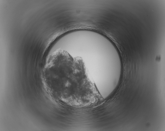 X0000114400679200911131406