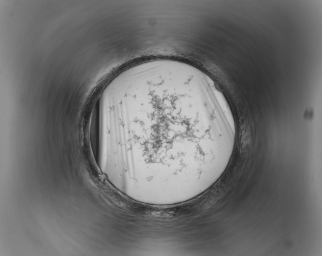 X0000114400680200911131406