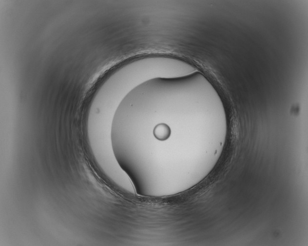 X0000114400684200911131406