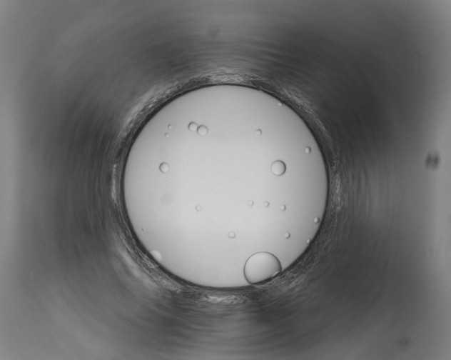 X0000114400686200911131406