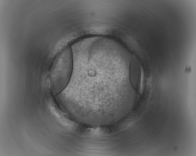 X0000114400688200911131406