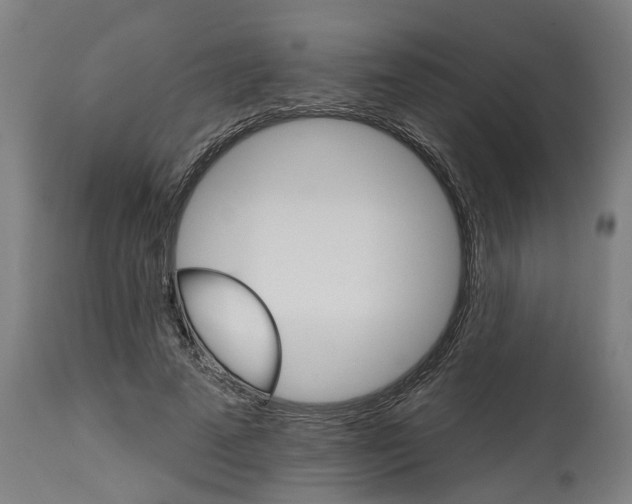 X0000114400689200911131406