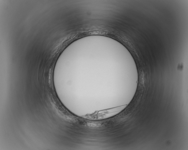 X0000114400690200911131406