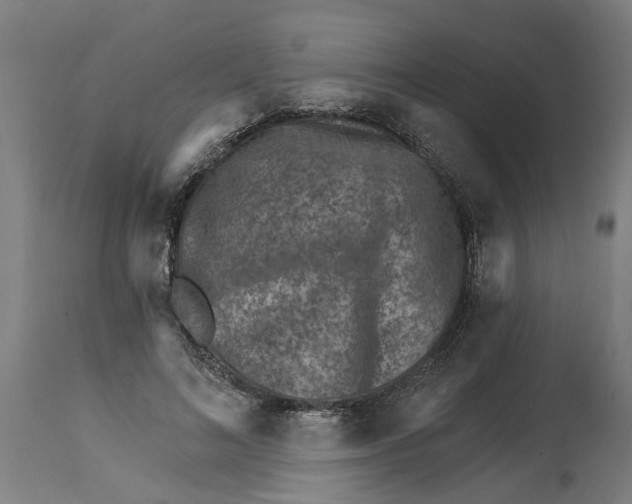 X0000114400692200911131406