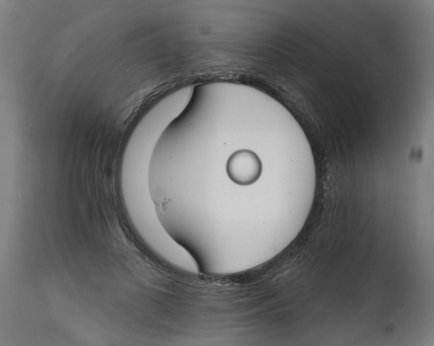 X0000114400693200911131406