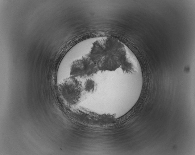 X0000114400699200911131406