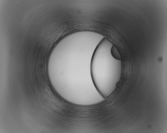 X0000114400700200911131406