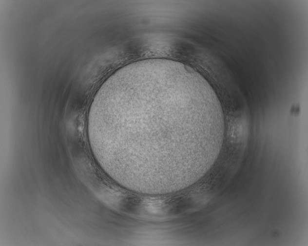 X0000114400701200911131406