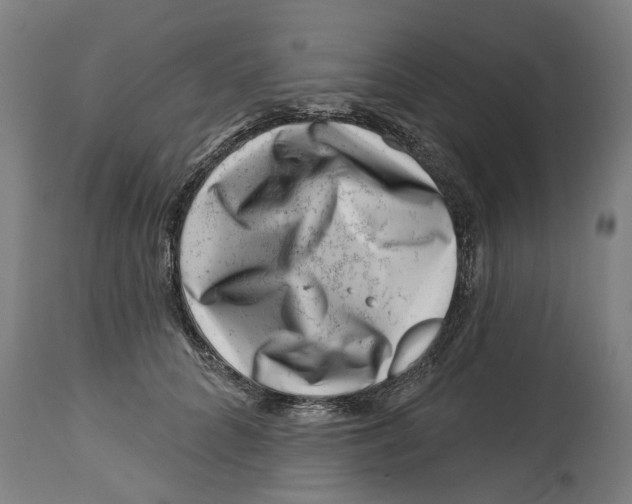 X0000114400704200911131406