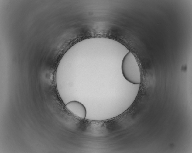 X0000114400709200911131406