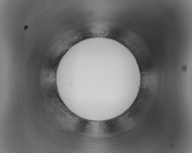 X0000114400713200911131406