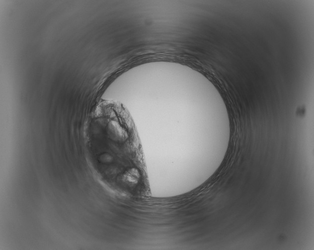 X0000114400715200911131406