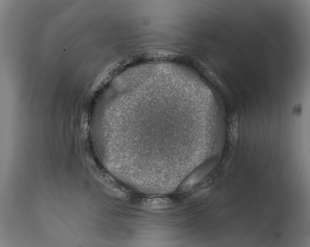 X0000114400716200911131406