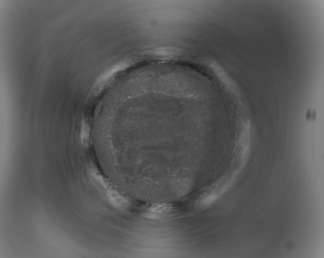 X0000114400720200911131406