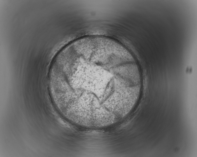 X0000114400721200911131405