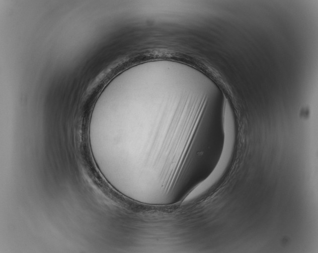 X0000114400722200911131405