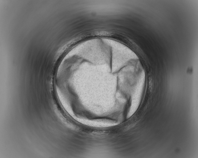 X0000114400725200911131405