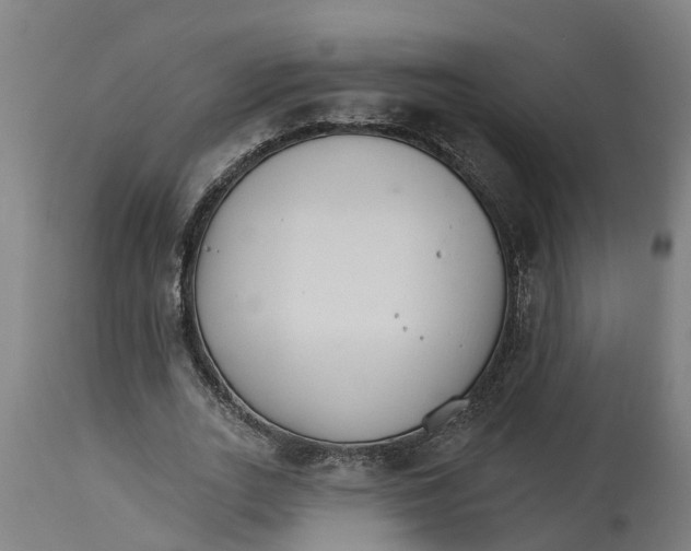 X0000114400727200911131405